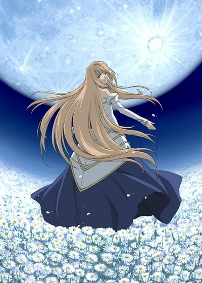 «Повесть о лунной принцессе» (Shingetsutan Tsukihime)