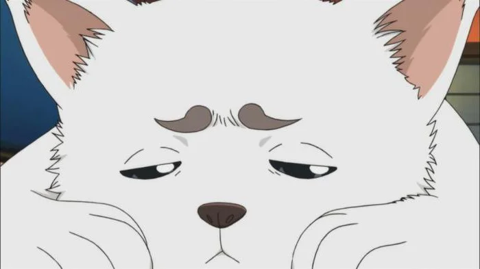 «Гинтама» (Gintama) - кадр 14