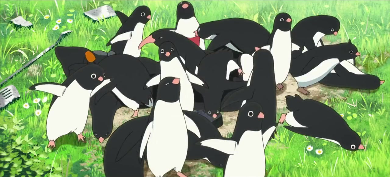 Тайная жизнь пингвинов (Penguin Highway) (аниме, 0 сезонов) – Канобу