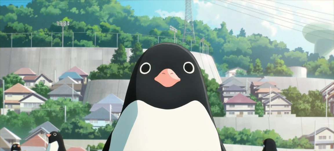 «Тайная жизнь пингвинов» (Penguin Highway) - кадр 3