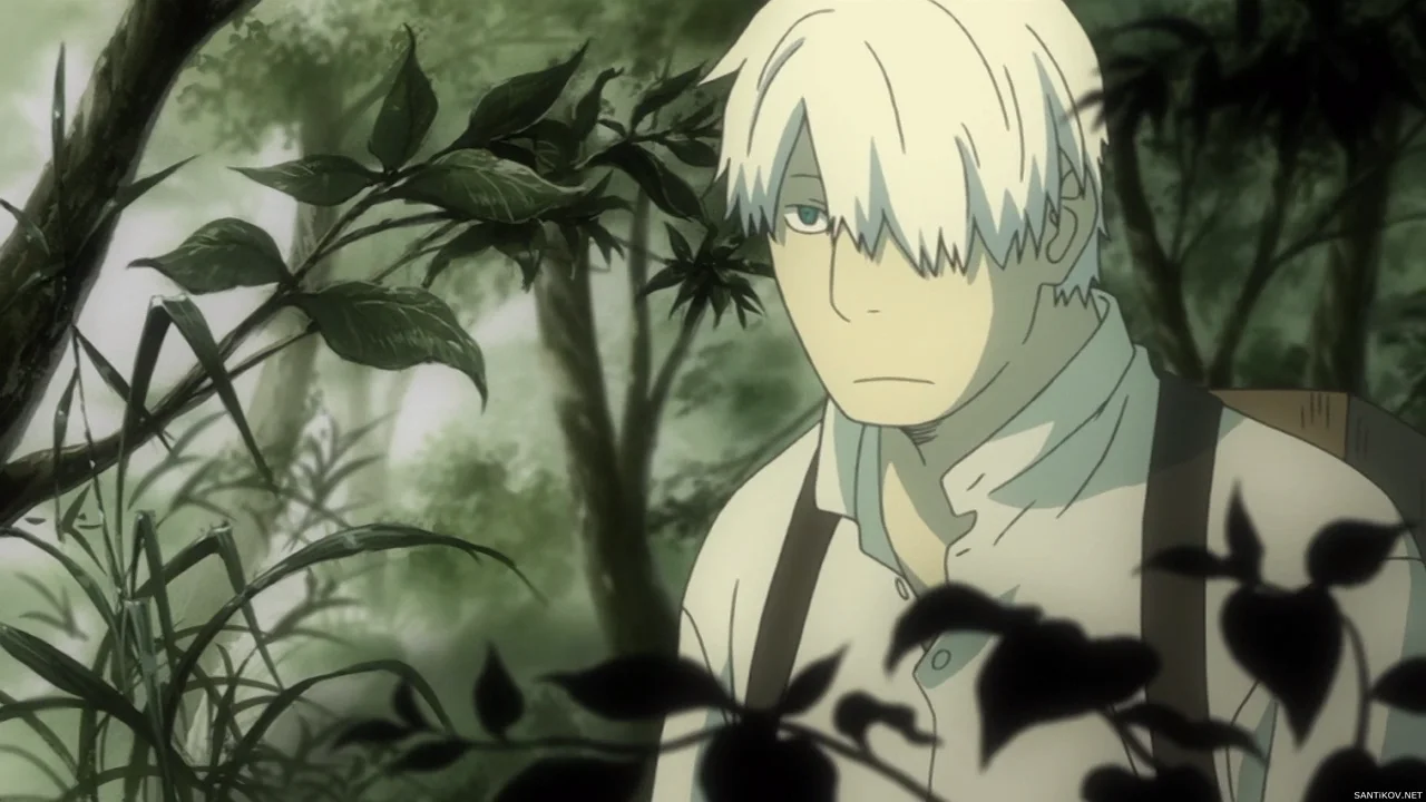 Знаток муси / Мастер муси (Mushishi) (аниме, 2 сезона) – Канобу