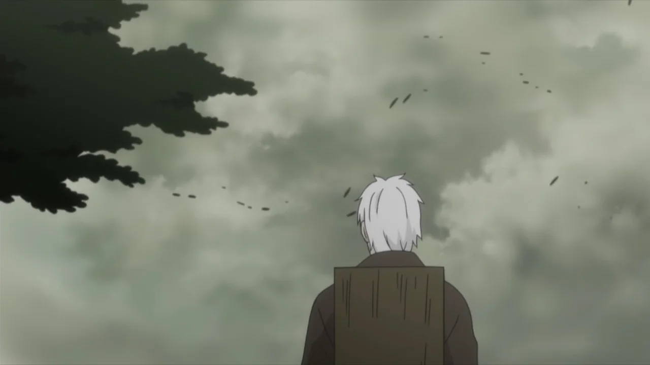 «Мастер муси: Тень, поглотившая Солнце» (Mushishi: Hihamukage) - кадр 4