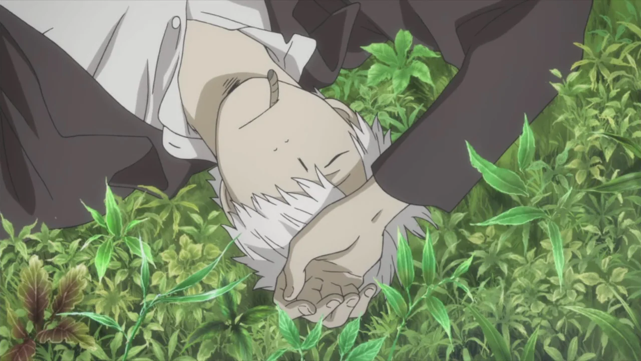 «Мастер муси: Тень, поглотившая Солнце» (Mushishi: Hihamukage) - кадр 5