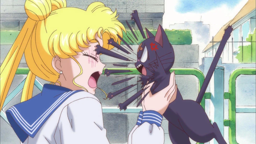 «Красавица-воин Сейлор Мун: Кристалл» (Bishoujo Senshi Sailor Moon Crystal) - кадр 13