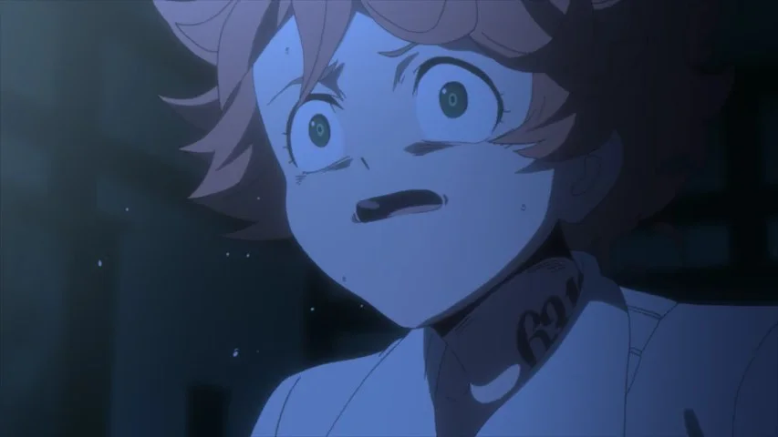 «Обещанный Неверленд» / «Обещанная Страна Грёз» (Yakusoku no Neverland) — скриншот 2