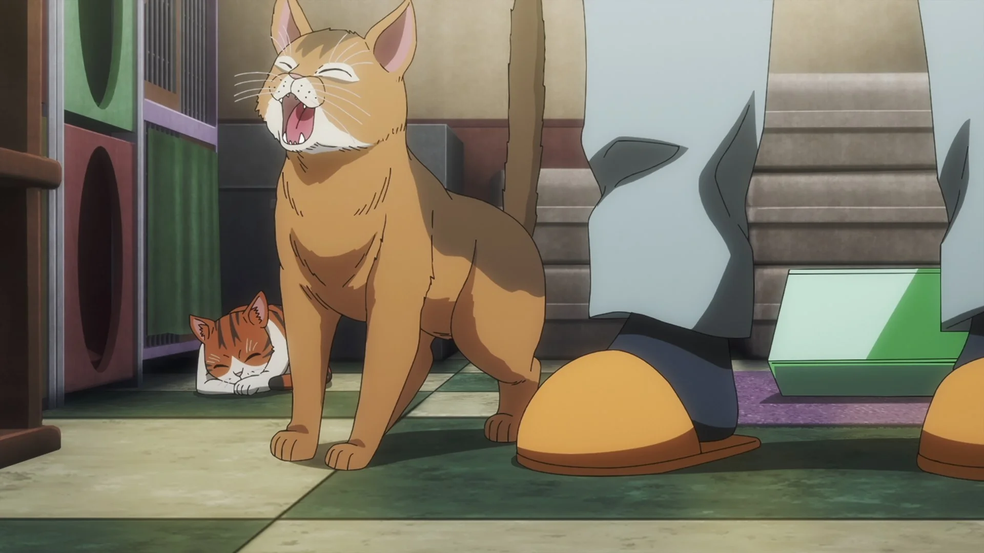 «Ночь живых кошаков» (Nyaight of the Living Cat) - кадр 1