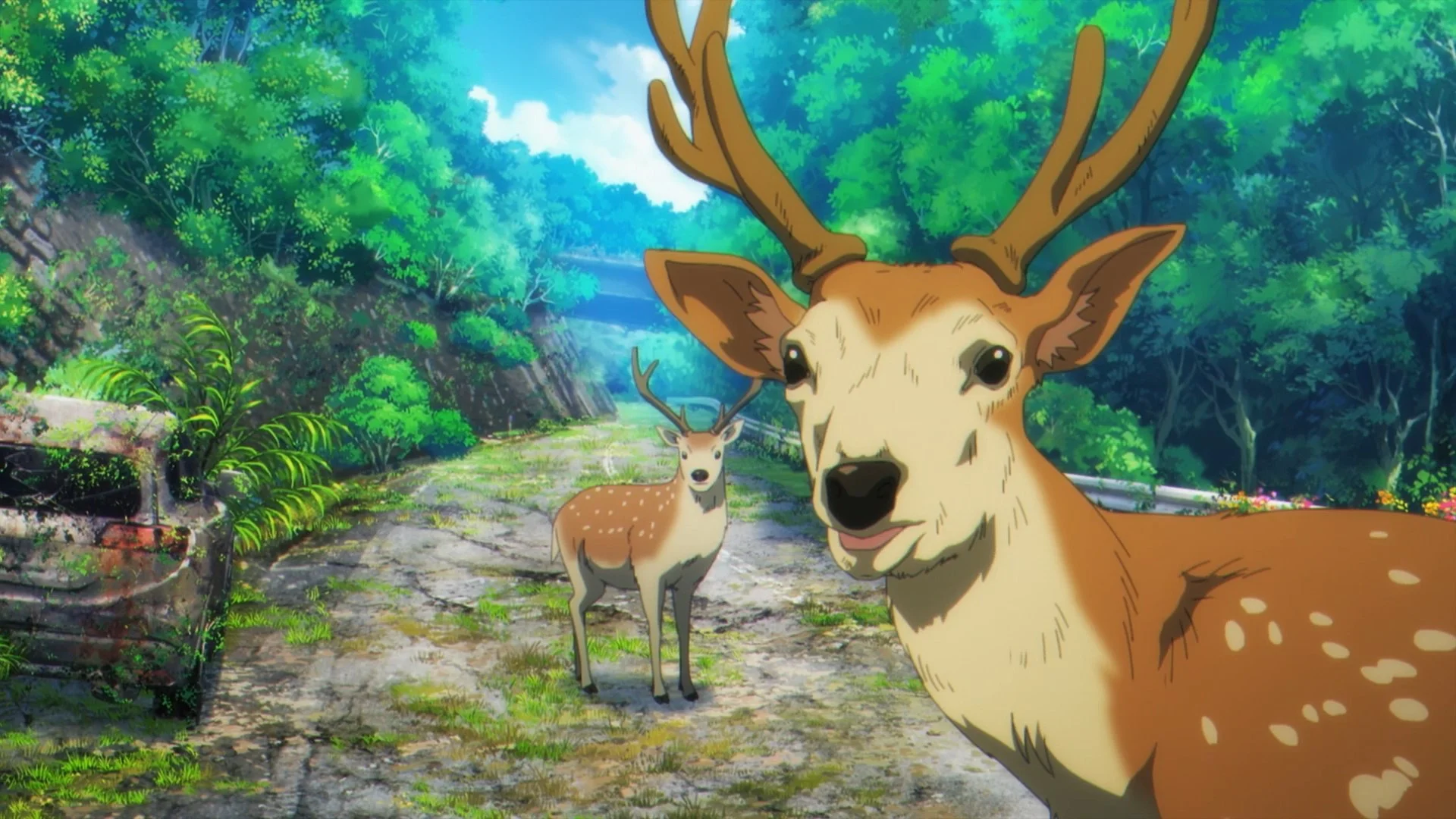 «Постапокалиптическое путешествие» (Shuumatsu Touring) - кадр 5