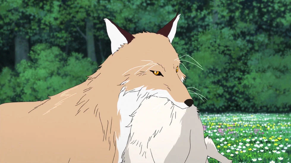«Волчьи дети Амэ и Юки» (Ookami Kodomo no Ame to Yuki) - кадр 3