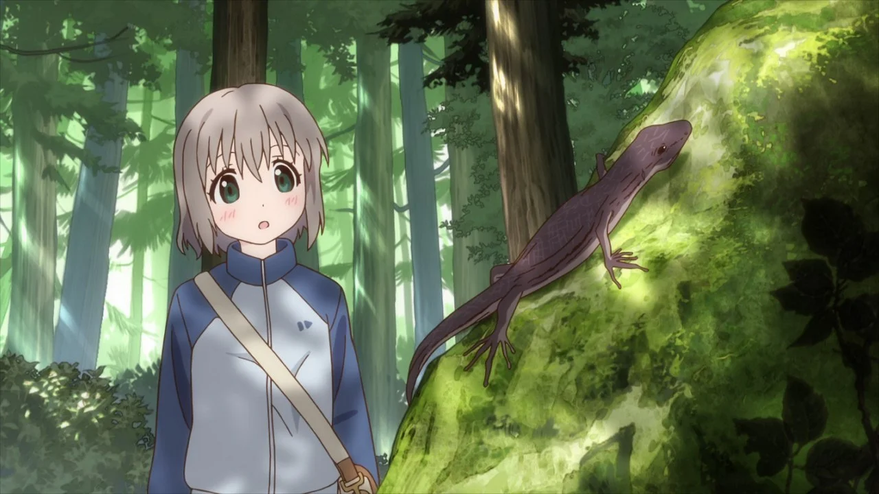 «Радость подъема» / «Манящие горы» (Yama no Susume) - кадр 7