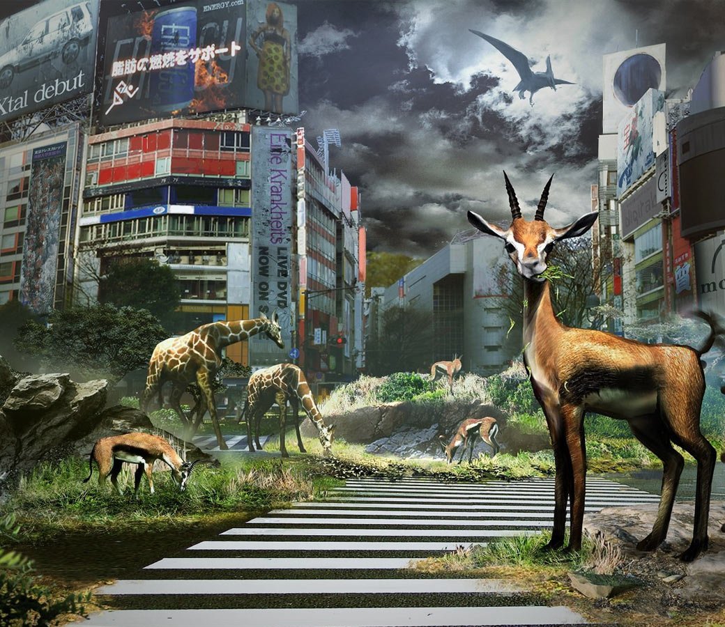 Рецензия на Tokyo Jungle