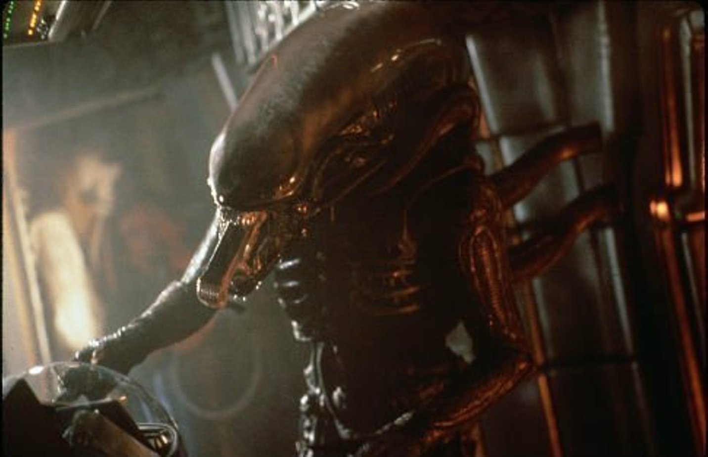 Обложка: кадр из фильма «Чужой»