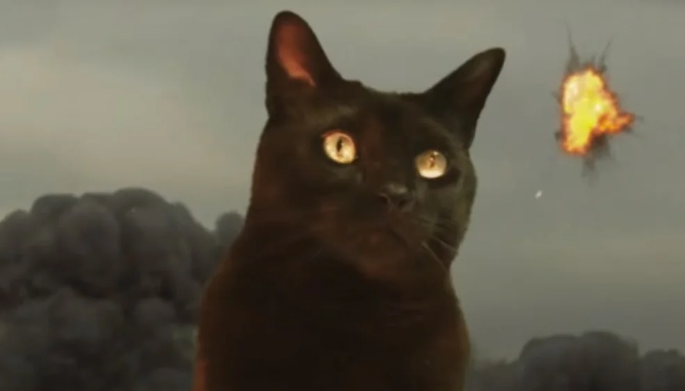 В трейлер фильма «Годзилла против Конга» добавили кота — получился новый кайдзю - изображение обложка