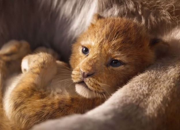 Первый тизер ремейка «Короля Льва» очень красиво воспроизводит первую сцену оригинала