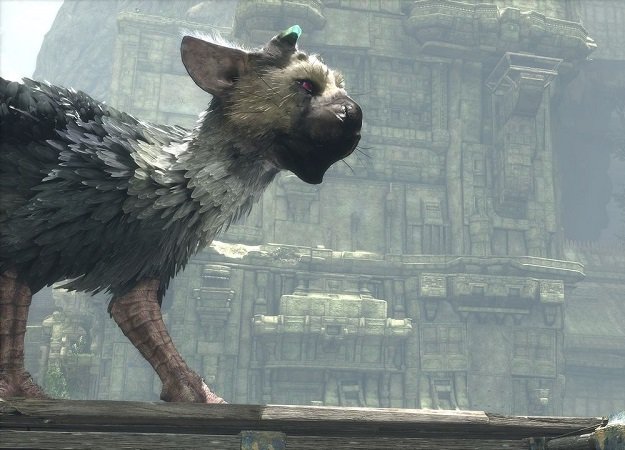 Как бы выглядела жизнь с Трику из The Last Guardian в реальности - изображение обложка