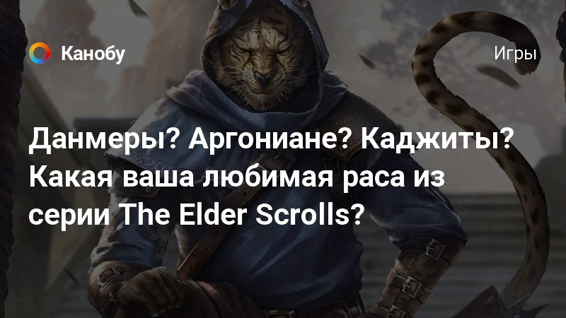 Teso данмер кто это