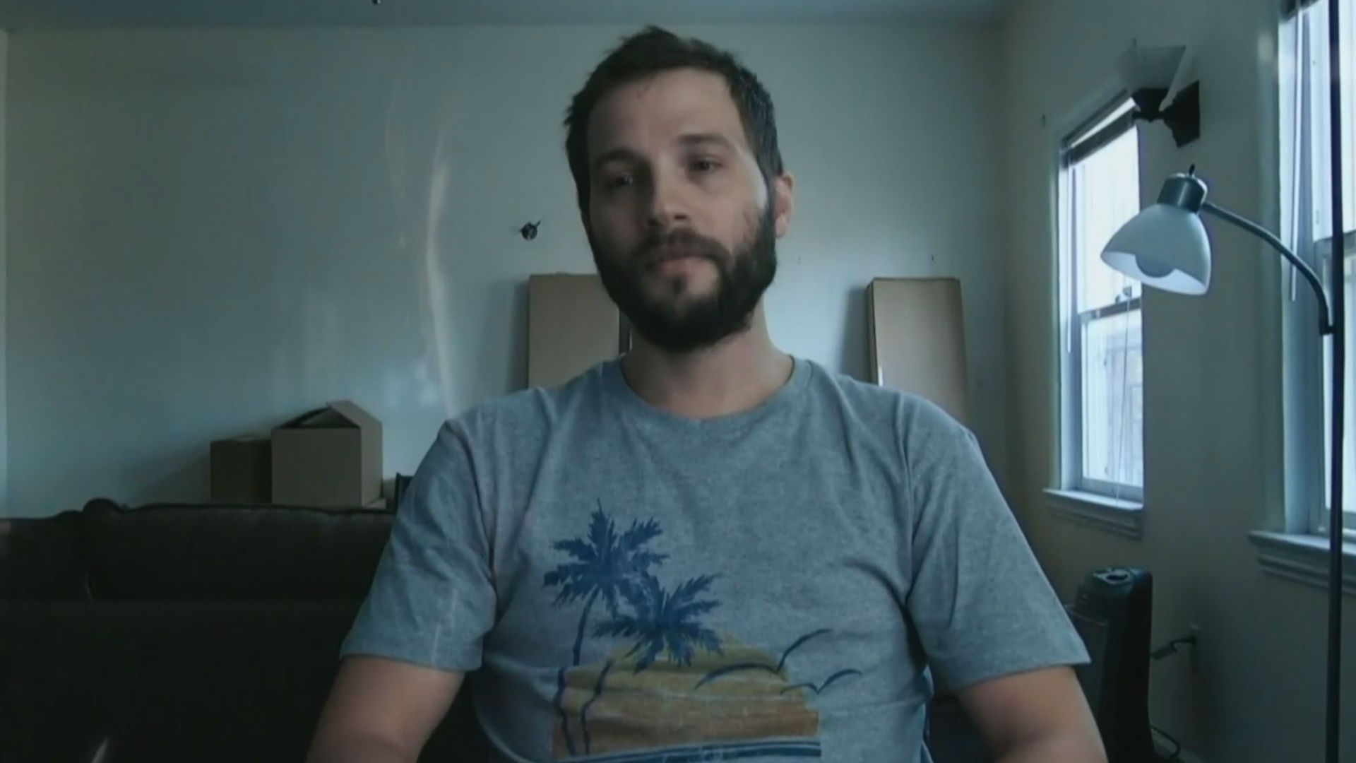 E3 2019: новый геймплейный трейлер Telling Lies — FMV-игры с «открытым миром» - изображение обложка