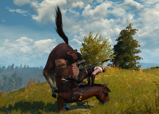 Новые фото со съемок «Ведьмака» от Netflix намекают на появление Плотвы? - изображение обложка