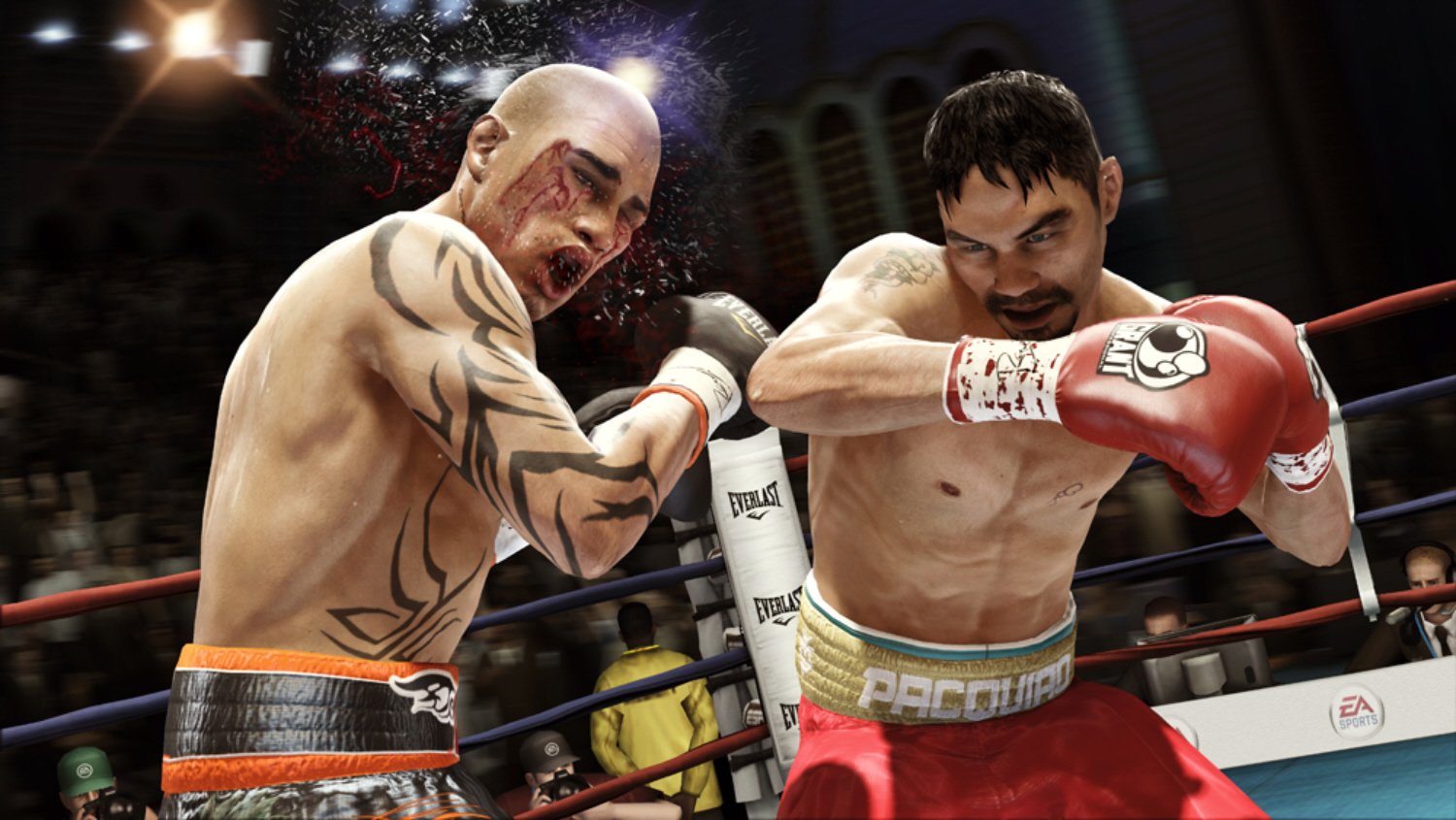 EA Sports приостановили работу над серией Fight Night