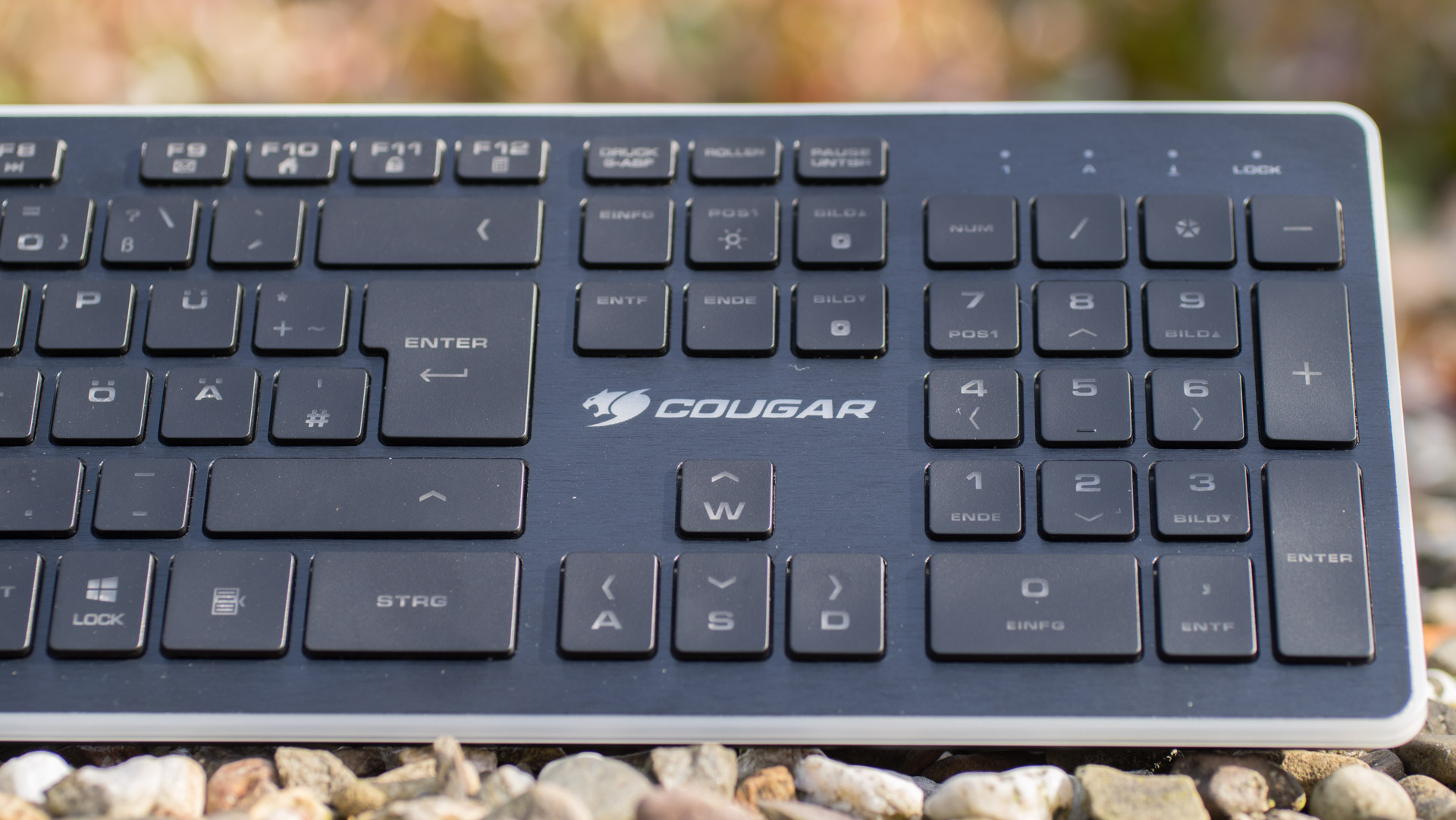 Cougar представила ножничную игровую клавиатуру Vantar AX с RGB и полупрозрачными колпачками