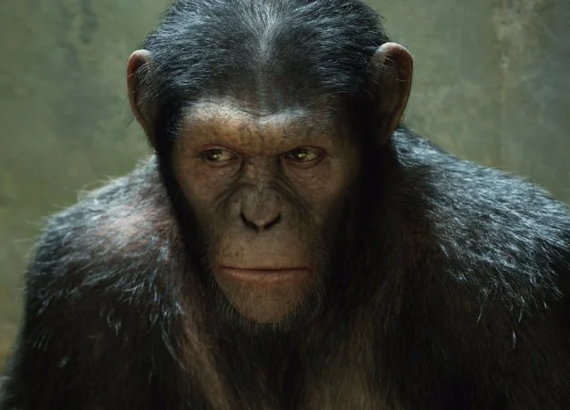 Объяснено. Как обезьяны в «Планете обезьян» стали разумными? - изображение обложка