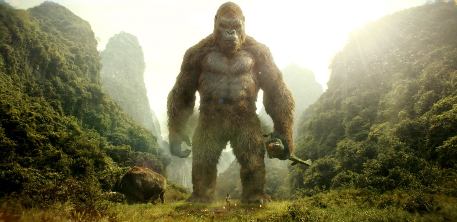 Netflix анонсировал аниме-сериал про Кинг-Конга во вселенной с Годзиллой - изображение обложка