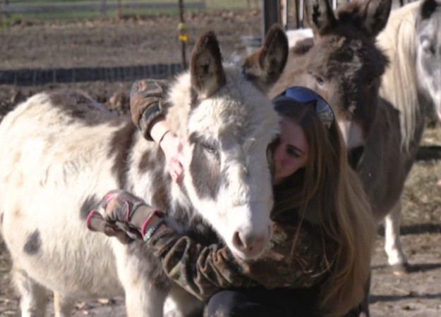 Kotaku рассказал о девушке из США, которая стала стримером и фермером поневоле - изображение обложка