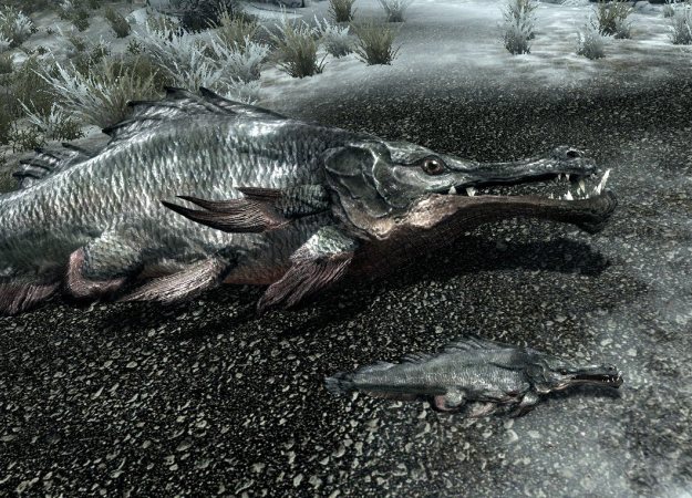 Гифка дня: секрет успешной рыбалки в ​The Elder Scrolls 5: Skyrim - изображение обложка