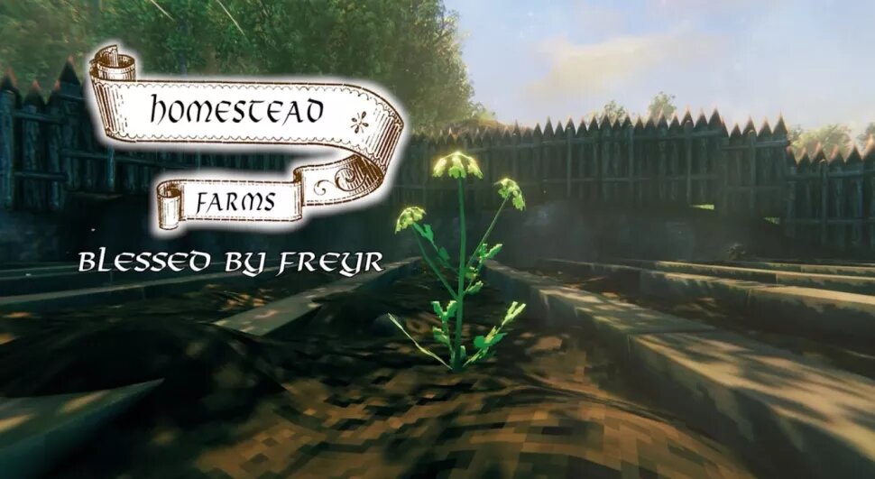 Игрок в Valheim снимает профессиональную рекламу своей фермы