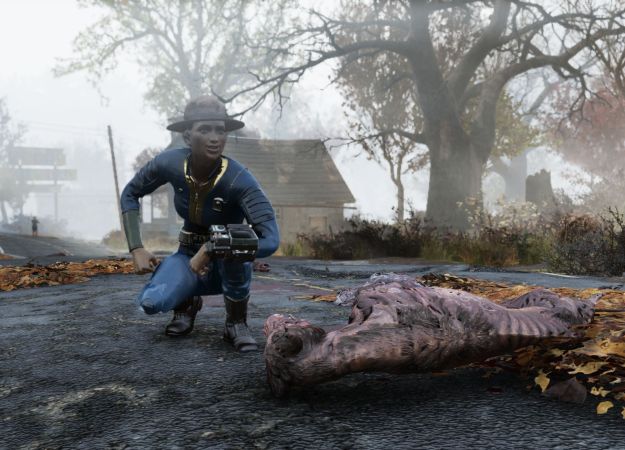 Новый патч для Fallout 76 исправил проблему слишком тяжелых заколок (да, она реально существовала)
