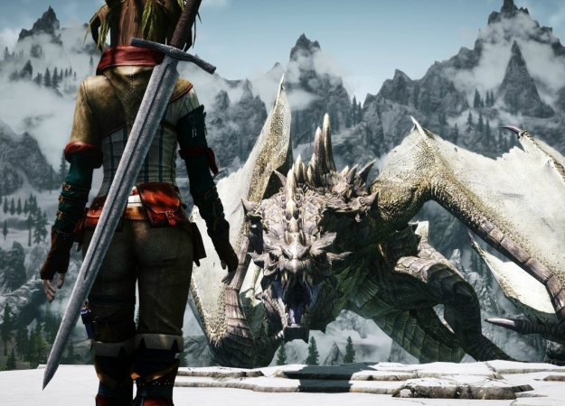 Гифка дня: бесконечно длинный меч в ​The Elder Scrolls 5: Skyrim - изображение обложка