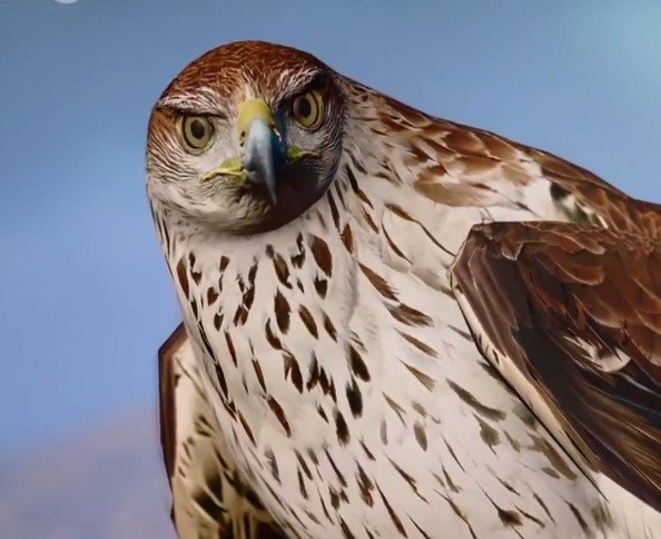 Assassinʼs Creed: Origins на конференции Xbox на E3 2017 - изображение обложка