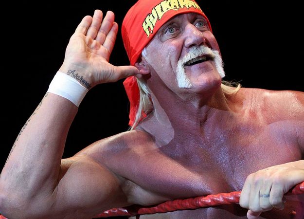 Основатель PayPal поддержал Халка Хогана в борьбе с желтой прессой - изображение обложка