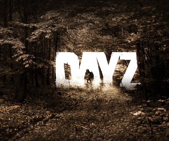 Создатель DayZ попросил тестировать игру только фанатов - изображение обложка