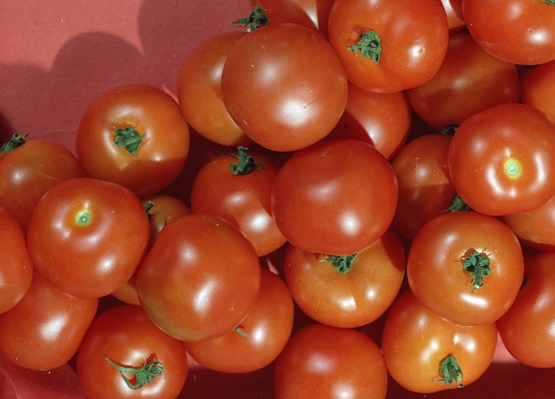 Хочешь написать отзыв — покажи билет. Rotten Tomatoes меняет систему - изображение обложка