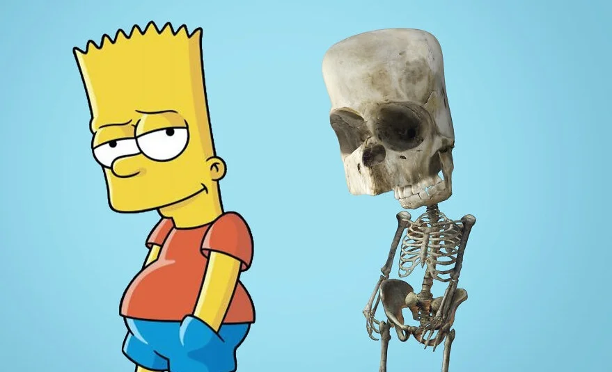От Барта Симпсона и Эрика Картмана до Дональда Дака: художник показал скелеты персонажей мультиков - изображение 1