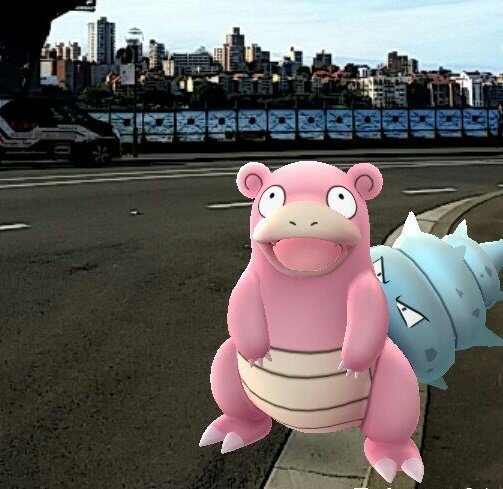 Девушка нашла труп во время игры в Pokemon Go - изображение обложка