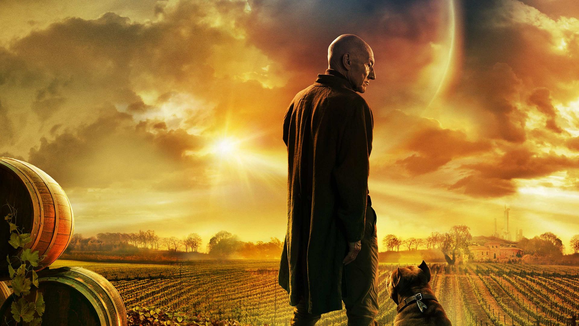Обложка: постер сериала Star Trek: Picard