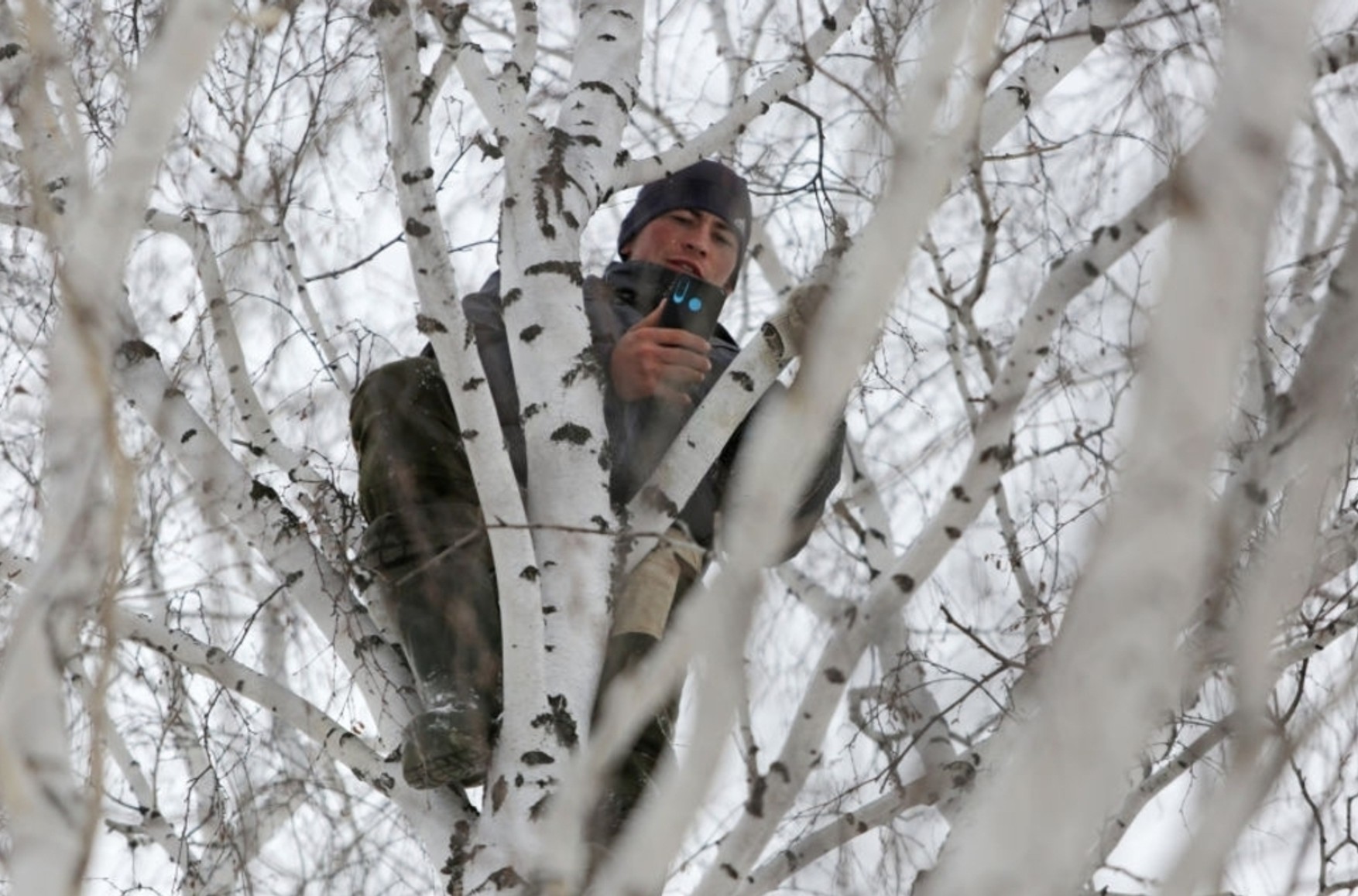 «Невыгодно»: студенту, который учится с березы, отказали в установке вышки, обещанной губернатором - изображение обложка