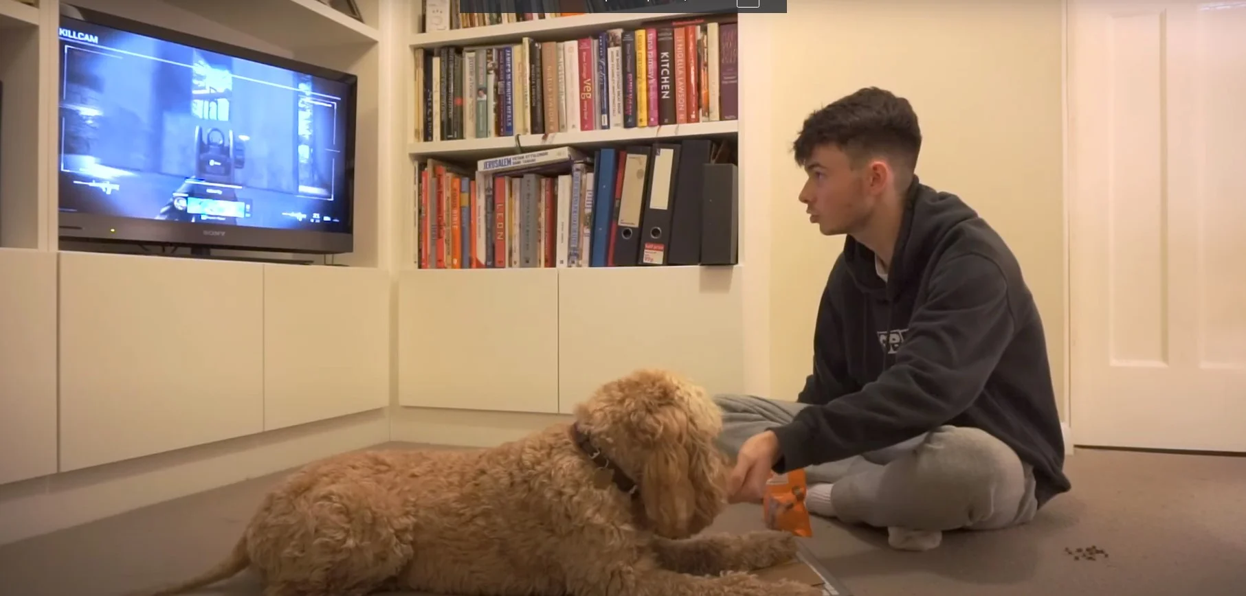 Блогер научил собаку играть в Call of Duty: Warzone. Получилось удачно - изображение обложка