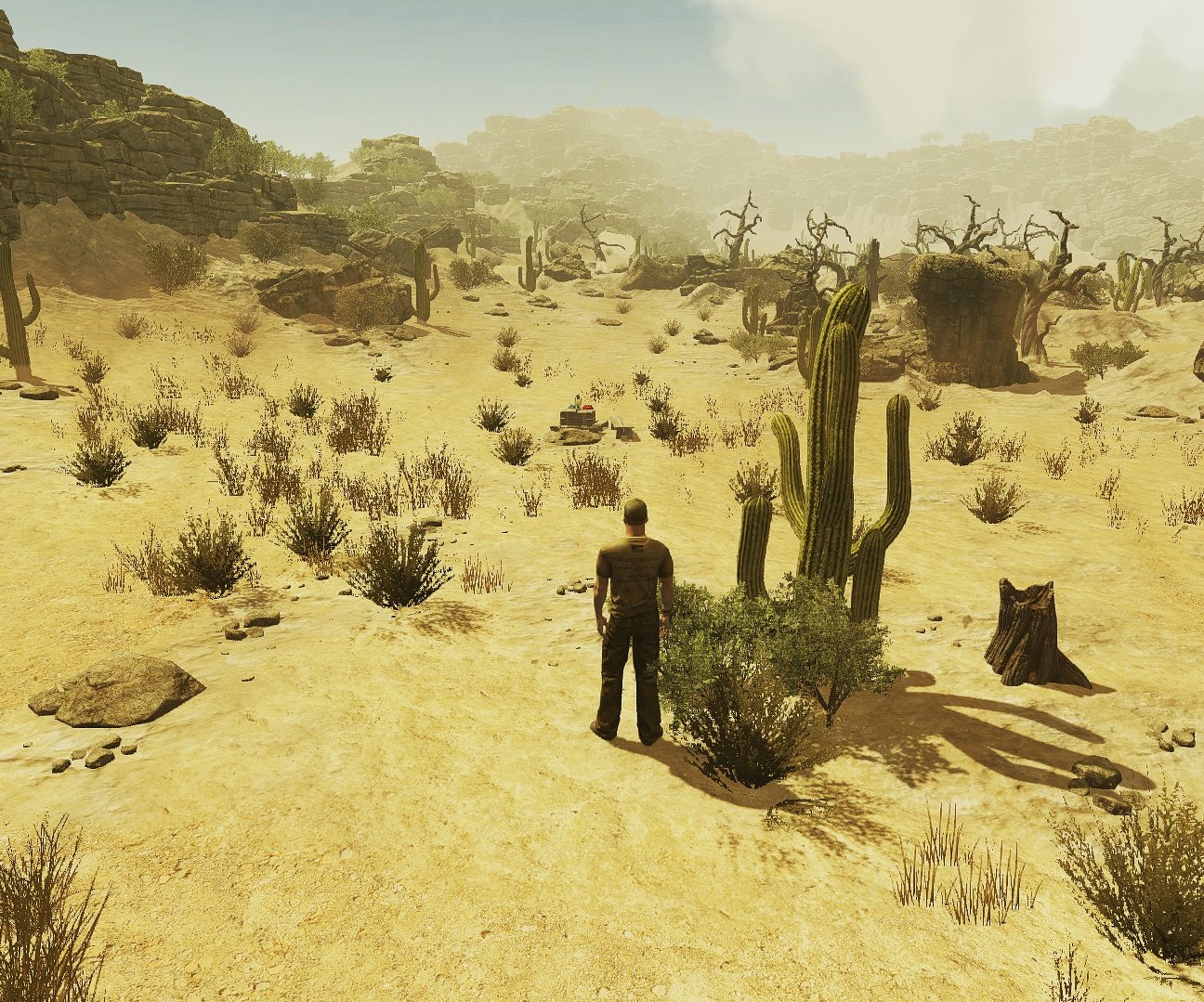 Постапокалиптическая RPG After Reset появилась на Kickstarter - изображение обложка