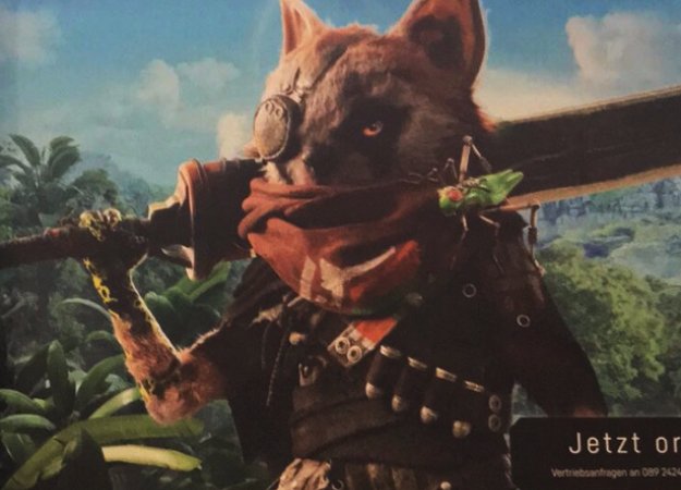 THQ Nordic работает над игрой о постапокалипсисе с животными-ниндзя - изображение обложка