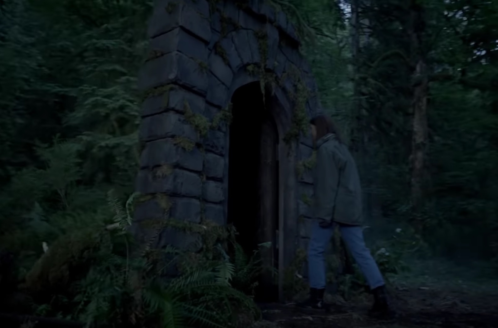 Peacock поделился первым трейлером хоррор-сериала «Девушка в лесу» - изображение обложка