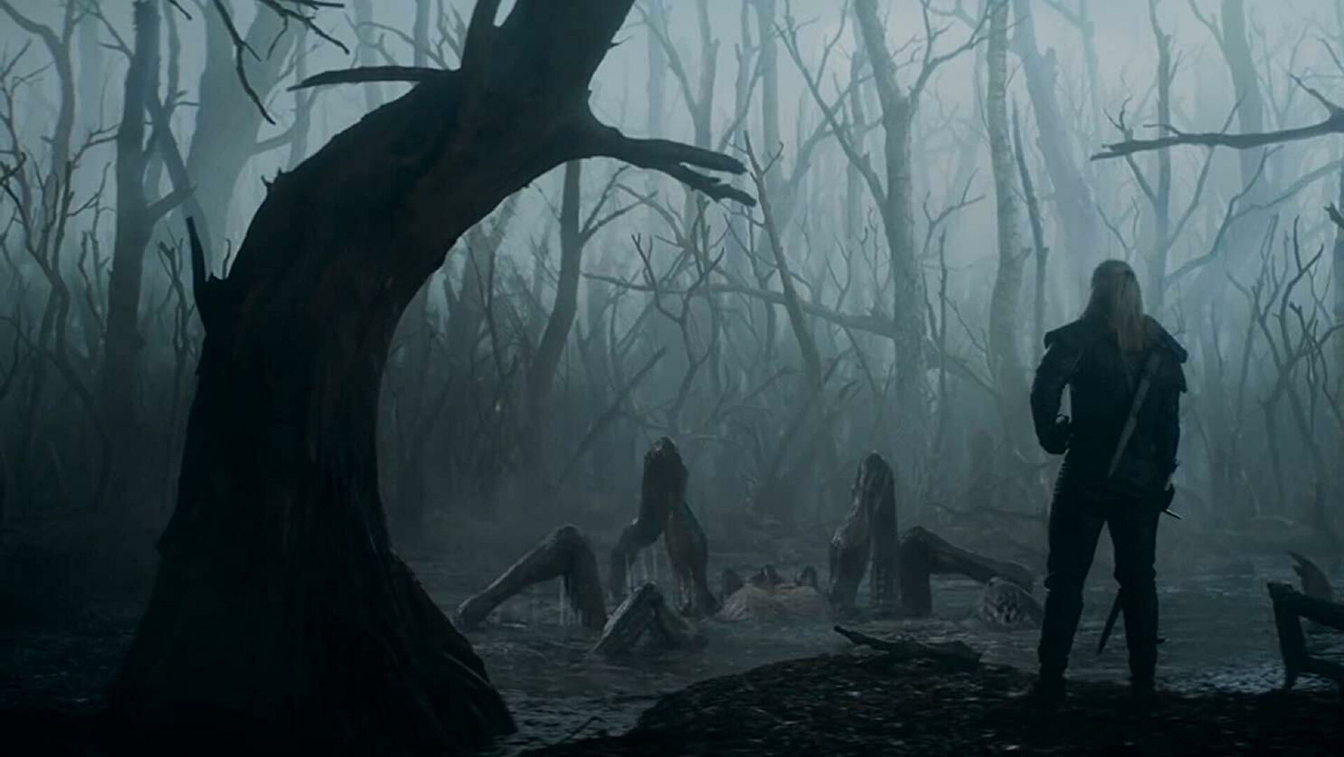 Шоураннер рассказала о планах на семь сезонов сериала «Ведьмак» - изображение обложка