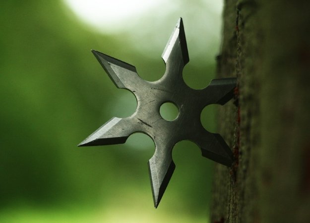 Моддер добавил в Fallout 4 метательные ножи, сюрикены и пушку-скалку! - изображение обложка