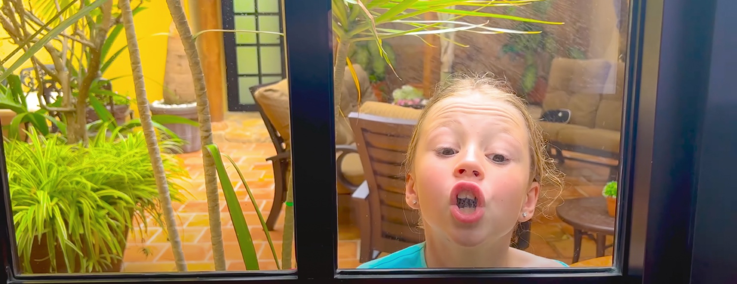 Семилетняя россиянка вошла в топ-10 самых высокооплачиваемых YouTube-блогеров 2021 года - изображение обложка