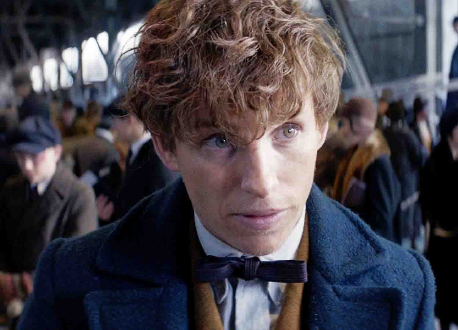 В «Фантастические твари 2» требуются Дамблдор и Гриндевальд (молодые) - изображение обложка