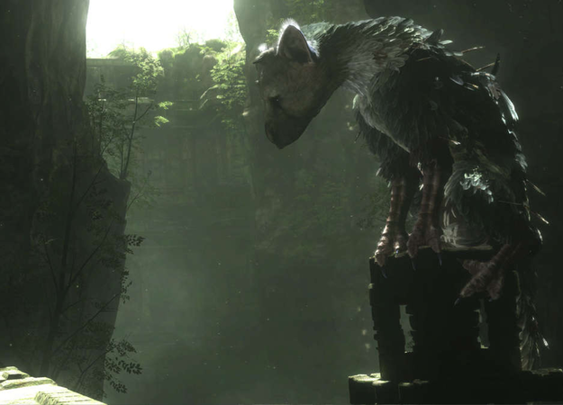 Сравнение The Last Guardian на PS4 и PS4 Pro - изображение обложка