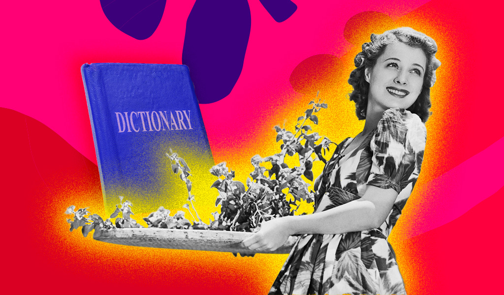 «Цифровое питание» и другое: какие слова появились в английском в июне - изображение обложка