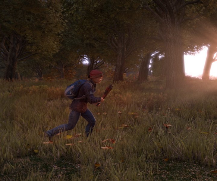 Бета-версия DayZ задержится до конца года - изображение обложка