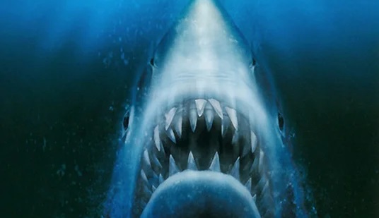 Стивен Спилберг отказался делать перезапуск серии «Челюсти» - изображение обложка